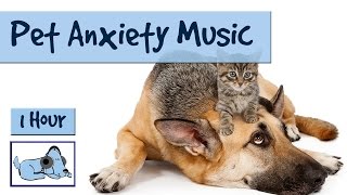1 Hour of Relax My Dog Music. Help your Pet with Anxiety, Fireworks or Grooming.