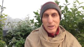 January 16: HG Mahatma Prabhu speaks on "Small Souls Forgive too"