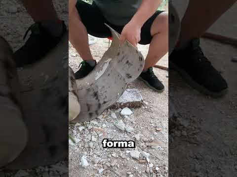 🍃 La zucca che prende forma del Buddha