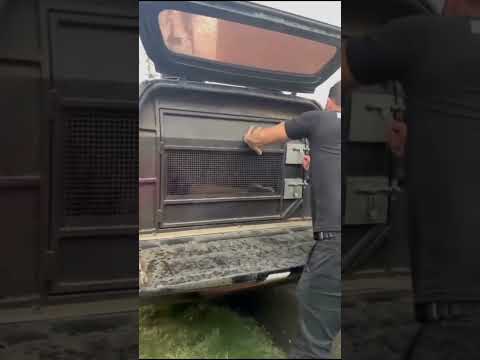 polícia civil em ação apreensão mimoso do sul