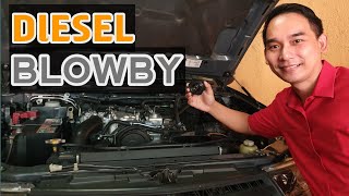 Diesel Blowby | How to Avoid, Control and Stop Blowby