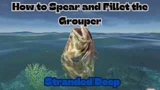 How to Spear and Fillet the Grouper - Stranded Deep