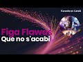 Figa Flawas - Que no s'acabi (Karaoke en català)