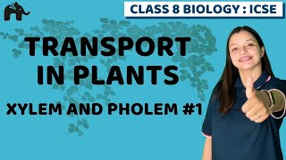 Transport in Plants Class 8 ICSE Biology | Selina Chapter 1 | Xylem And Pholem #1