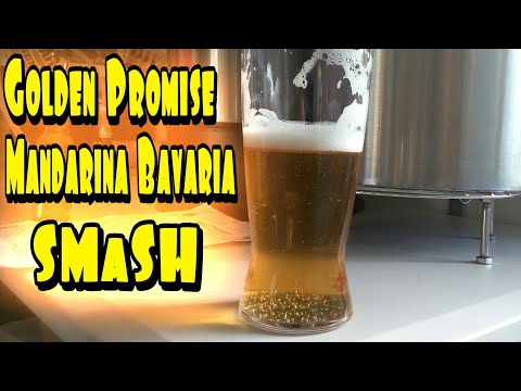 Golden Promise+Mandarina Bavaria SMaSH - Tasting + Comp Results