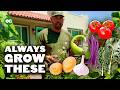 9 Plants You Should ALWAYS Grow