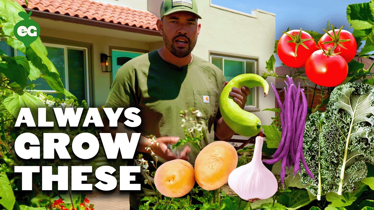 9 Plants You Should ALWAYS Grow