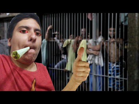 Pingüino culiao gozando su mambo pa los presos