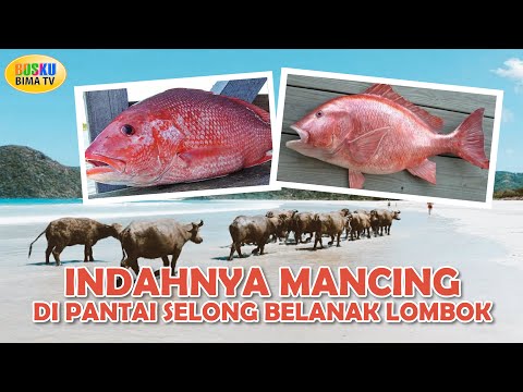 Indahnya Mancing di pantai selong belanak lombok