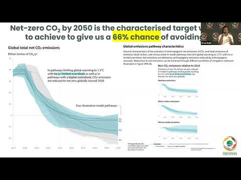 Capacity Building on South Africa’s 2035 NDC Targets: Business Workshop