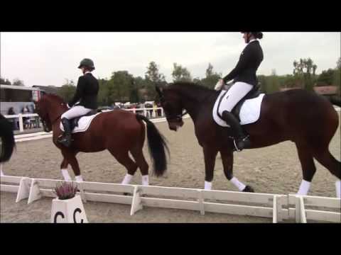 Quadrille ZKV Weekend 2016 ORV Langnau