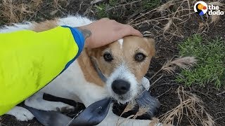 Bikers Rescue Dog Lost In Middle Of Nowhere | The Dodo