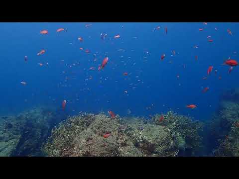 NASA の新しいビデオがあなたをめまいのする船外活動に連れて行きます