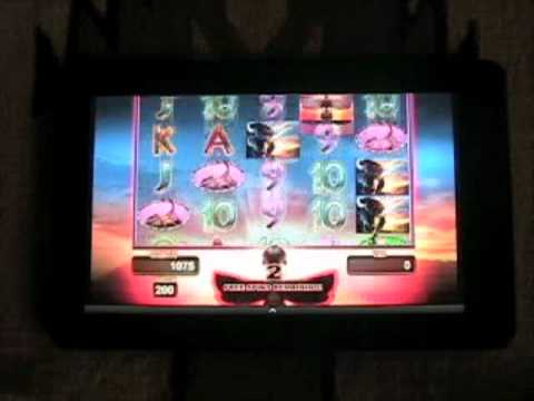 Buffalo Gold Video Slot Game Video