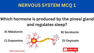 NERVOUS SYSTEM ~ PRACTICE QUIZ