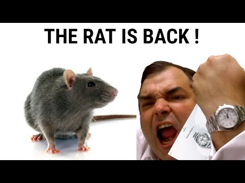 TGV Celebrates 10 years on YouTube - SPECIAL EARLY INTERVIEW