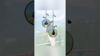 Download lagu #Aesthtic whatsapp story ideas 💕🌿#whatsappnewtrendstutus | viral stutus video for girls mp3