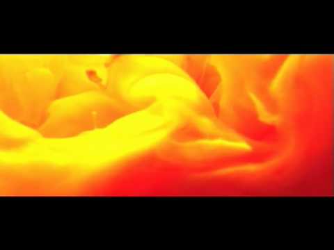 Frank Zappa-Chunga Basement.