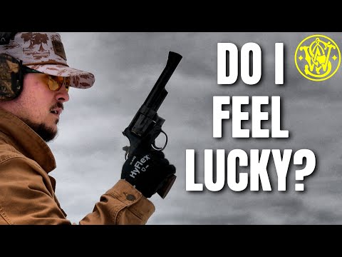 Smith & Wesson Model 29-10 Review!