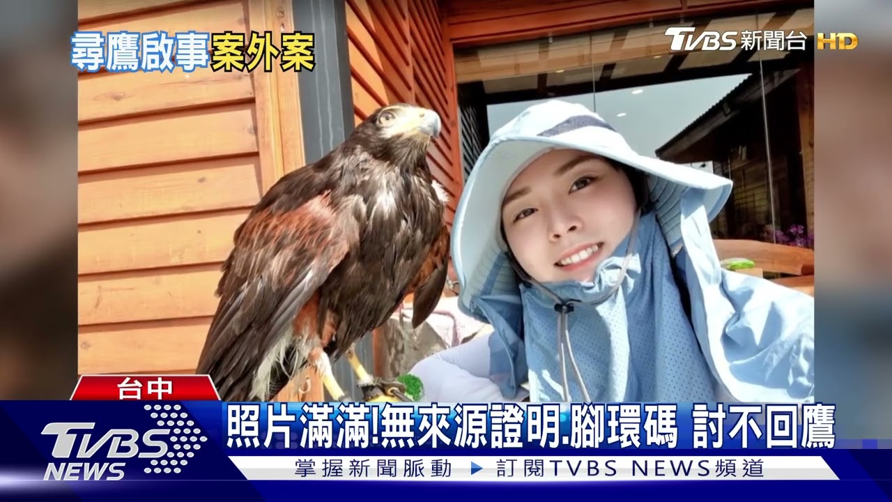老鷹降肉之後...飼主控撿鷹者 刁難不還