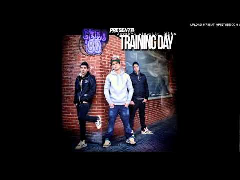 Dias de entrenamientos