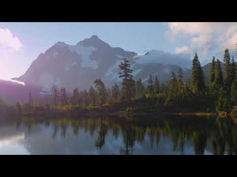 8 hours of bird singing on the lakeshore