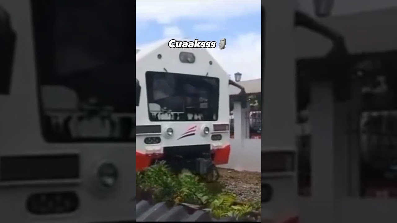Meme Kereta Api Indonesia🐦#shorts