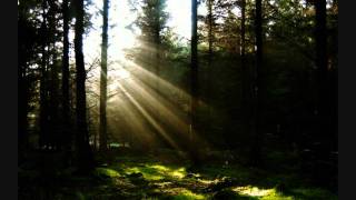 Burzum-Jeg Faller
