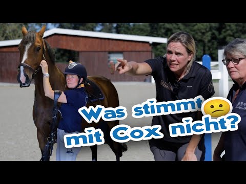 Pferd läuft wie eine Nähmaschine und verweigert – Trainer und Reiter sind Ratlos