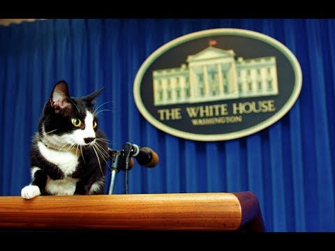 Presidential Pets of the United States