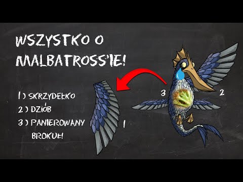 WSZYSTKO O MALBATROSS'IE - PORADNIK