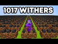 1 017 Withers VS Minecraft SMP