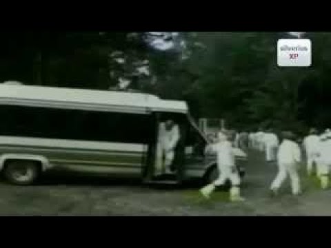 Documental_Accidentes aéreos