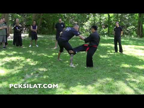 CECEP RAHMAN FROM JOHN WICK 3 VS LARGE OPPONENT