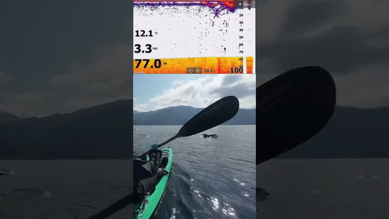 イルカにビビるおじさん | #kayakfishinggol (#Twitch)