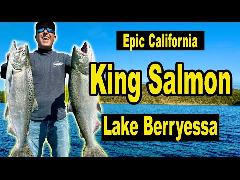 Epic King Salmon of Lake Berryessa