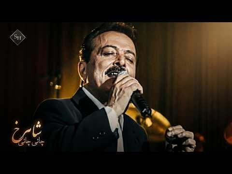 music-videos
