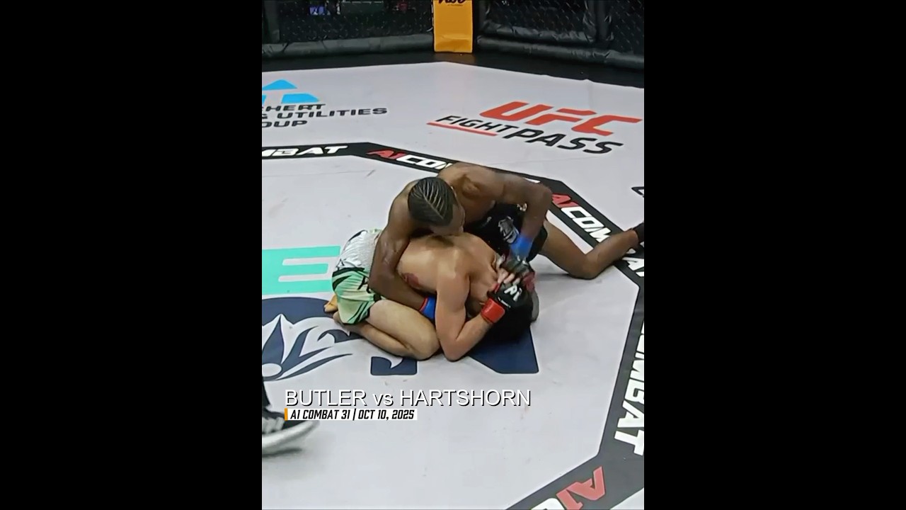 A1 Combat 2025 Knockout Compilation