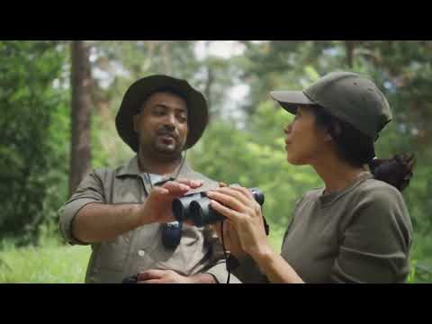 Tanjung Puting National Park, Borneo – A Wildlife Adventure in Kalimantan