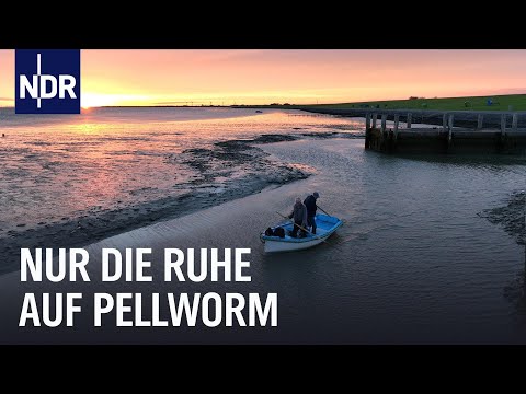 Video Thumbnail: Arbeiten und erholen auf der Nordseeinsel Pellworm I mareTV I NDR Doku