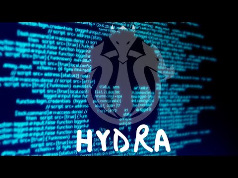 2023 Roadmap to Master Hacker