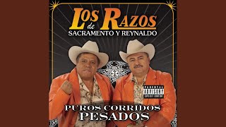 Entre Pericos y Gallos