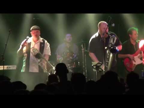 DR. RING DING SKA-VAGANZA (live 2013)