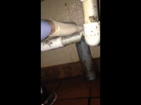 Repairing Open Pipe to Keep Mice Out of Commercial Building in Freehold, NJ