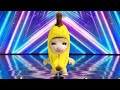 Banana Cat sings Happy Happy Song At America's Got Talent⭐