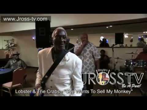 James Ross @ Lobster & The Crabs - "She Wants To Sell My Monkey" - www.Jross-tv.com