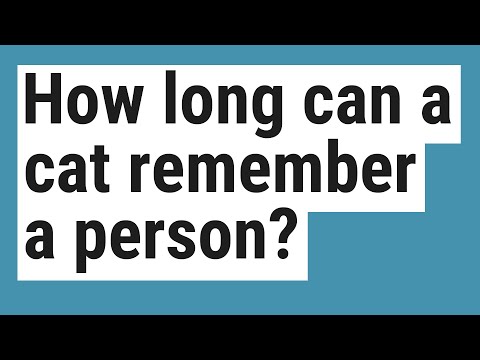 How long can a cat remember a person?
