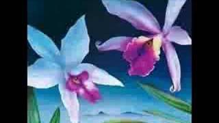 Whistle Bump / Deodato