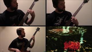 Blood Incantation - StarSpawn(Guitar + Bass Cover)