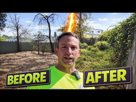 This WILD Yard Clean Up even surprised ME!